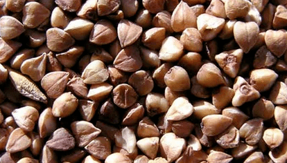 Buckwheat merms for weight loss